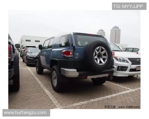 武汉排球队在洲际杯积分榜上以62分稳居第一名，展现强劲实力